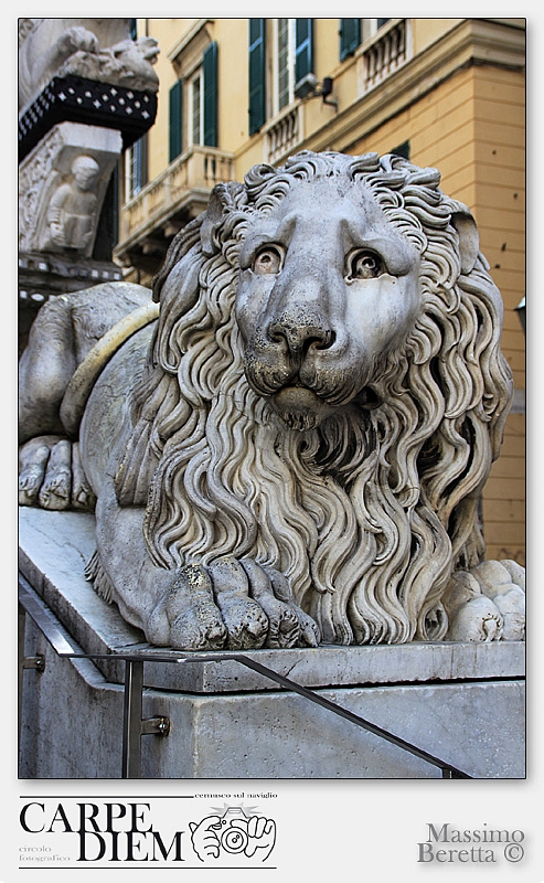 101_Leone.jpg