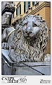 101_Leone