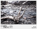130__MG_5675e2-001