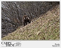 130__MG_5731e