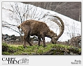 130__MG_6456e