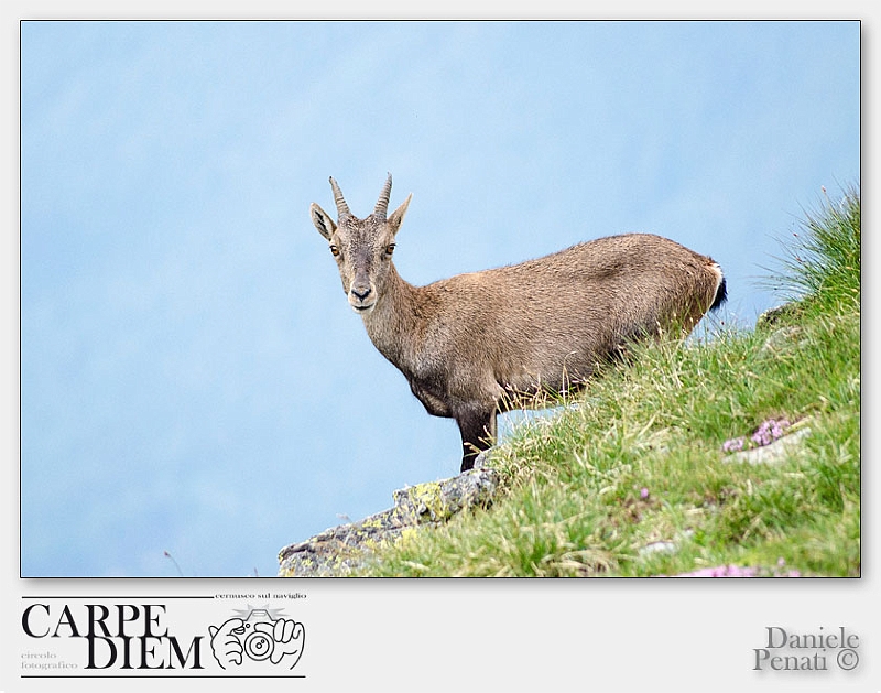 95-4928x3264---_DSC7216-49.jpg - Daniele Penati