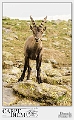 95-2085x3148---_DSC7258-86