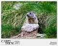 95-2274x1506---_DSC7353-135