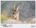 95-4928x3264---_DSC7246-76
