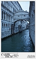 139_MG_0929