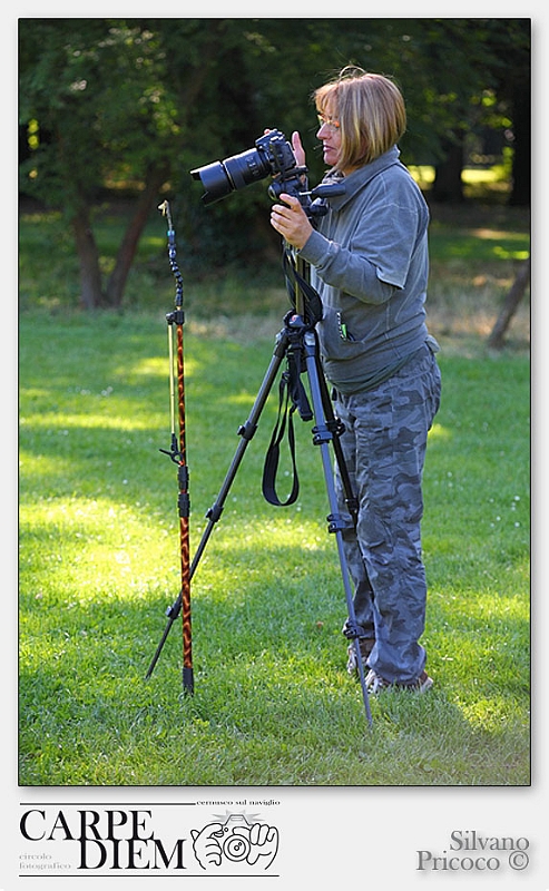 58-web-2014_m18.jpg
