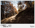 SLV_0876
