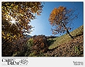 SLV_0883