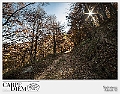 SLV_0888