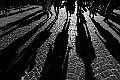 slhouette_17