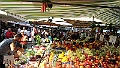 Gioia_38