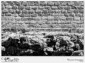 191-TEMA2