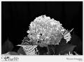 165-TEMA3