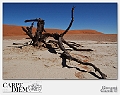 DesertoNamibia