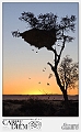TramontoAfricano