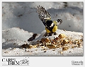 _DSC2704_089800